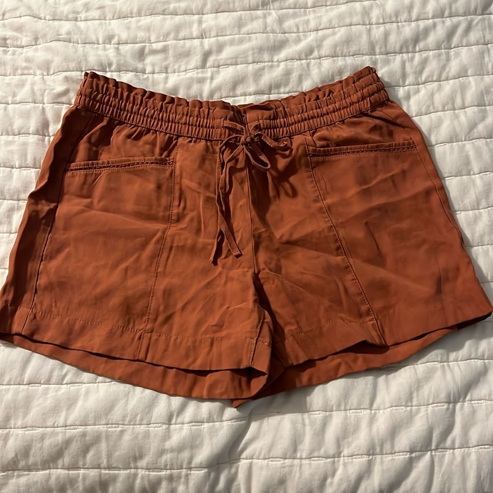 Loft Shirts | Size Medium | NWT